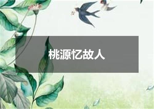 桃源忆故人