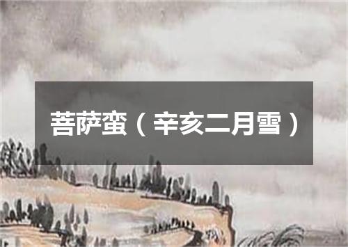 菩萨蛮（辛亥二月雪）