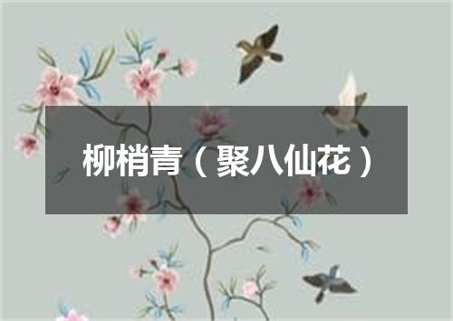 柳梢青（聚八仙花）