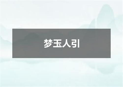 梦玉人引
