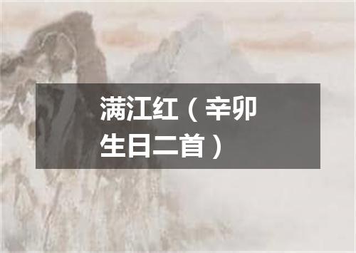 满江红（辛卯生日二首）