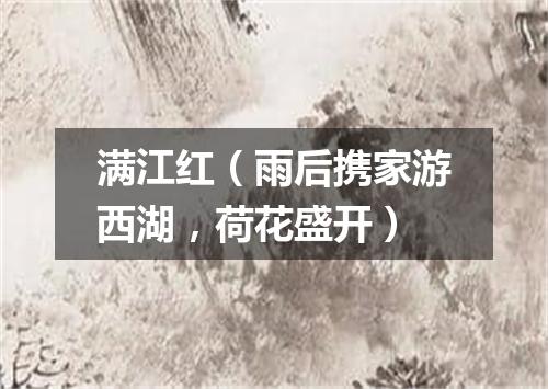 满江红（雨后携家游西湖，荷花盛开）