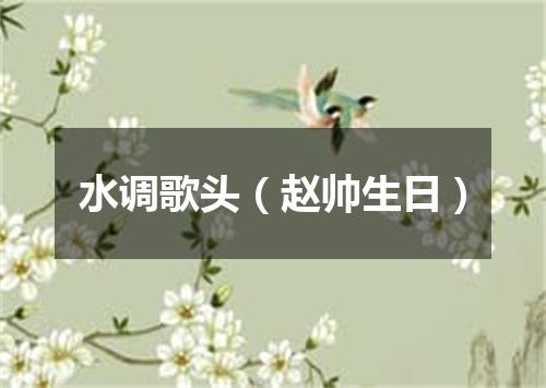 水调歌头（赵帅生日）