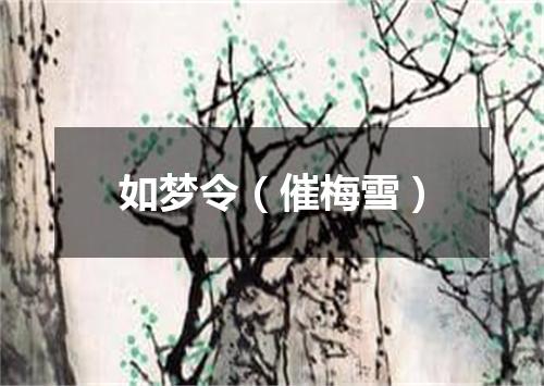 如梦令（催梅雪）