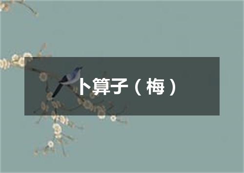 卜算子（梅）