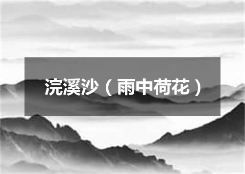 浣溪沙（雨中荷花）
