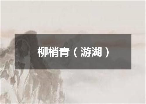 柳梢青（游湖）