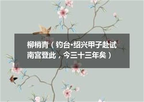柳梢青（钓台·绍兴甲子赴试南宫登此，今三十三年矣）