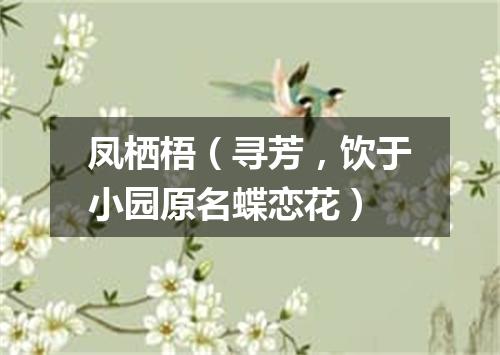 凤栖梧（寻芳，饮于小园原名蝶恋花）