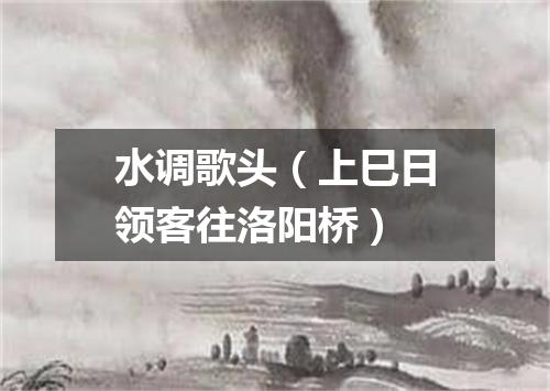 水调歌头（上巳日领客往洛阳桥）