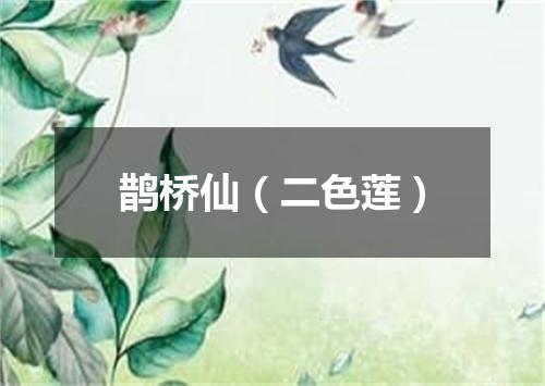 鹊桥仙（二色莲）