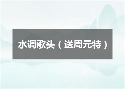 水调歌头（送周元特）