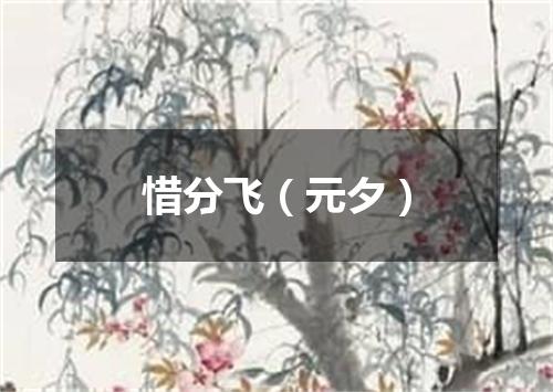 惜分飞（元夕）