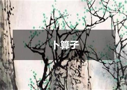 卜算子