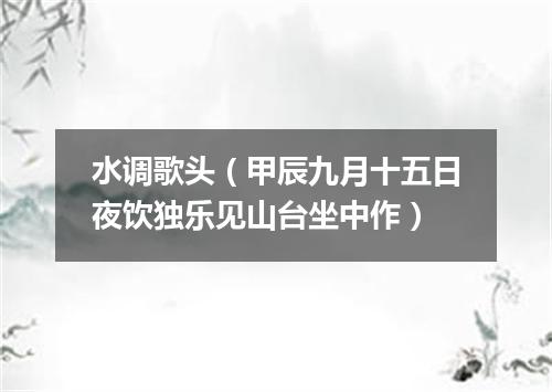 水调歌头（甲辰九月十五日夜饮独乐见山台坐中作）