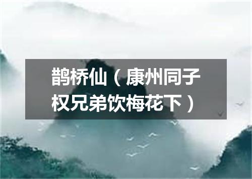 鹊桥仙（康州同子权兄弟饮梅花下）