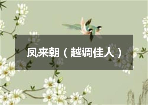 凤来朝（越调佳人）