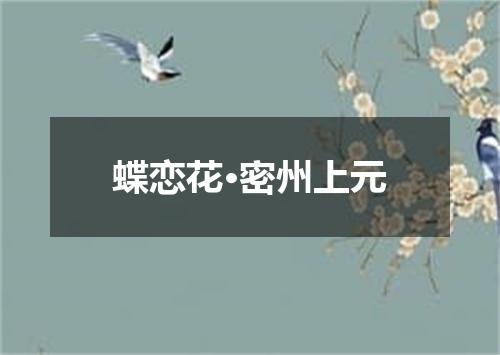 蝶恋花·密州上元