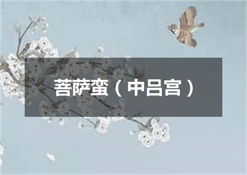 菩萨蛮（中吕宫）
