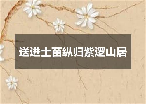 送进士苗纵归紫逻山居
