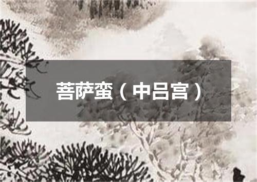 菩萨蛮（中吕宫）