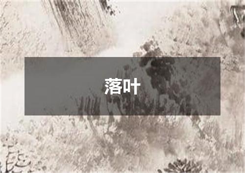 落叶