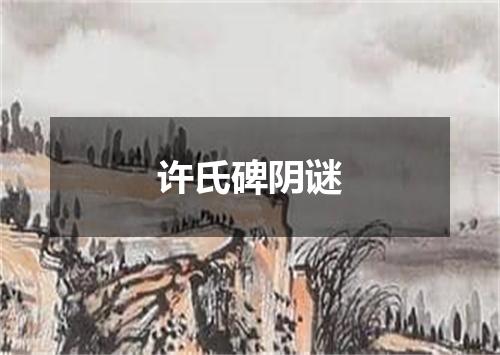 许氏碑阴谜