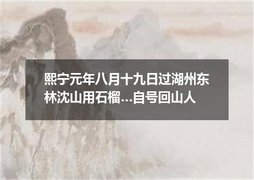 熙宁元年八月十九日过湖州东林沈山用石榴…自号回山人