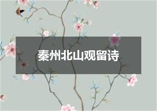 秦州北山观留诗