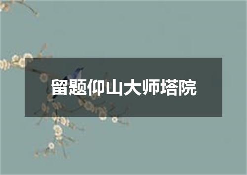 留题仰山大师塔院