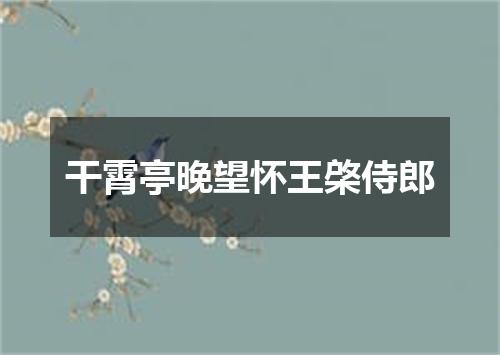 干霄亭晚望怀王棨侍郎