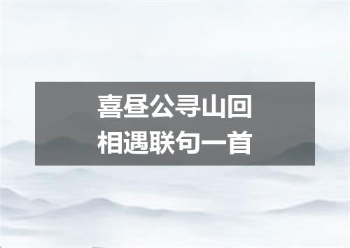 喜昼公寻山回相遇联句一首