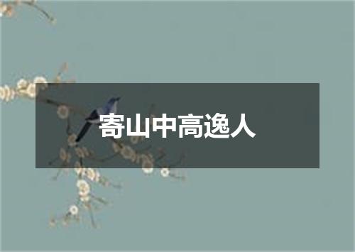 寄山中高逸人