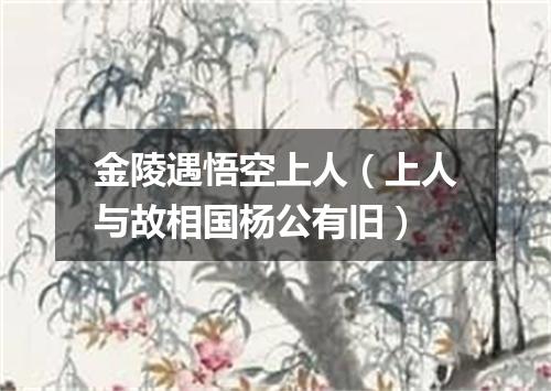 金陵遇悟空上人（上人与故相国杨公有旧）