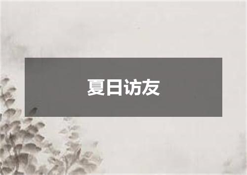夏日访友