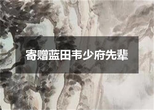 寄赠蓝田韦少府先辈