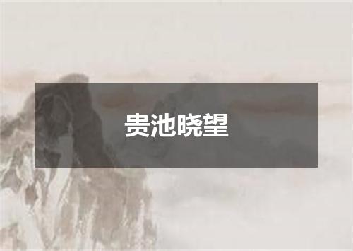 贵池晓望