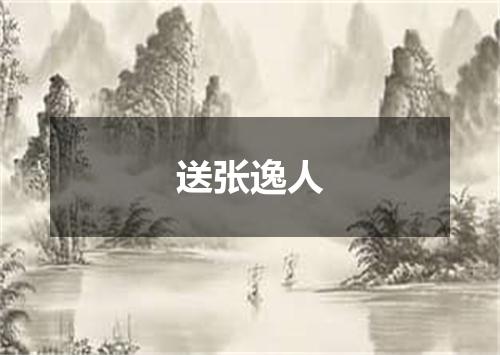 送张逸人