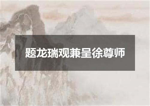 题龙瑞观兼呈徐尊师