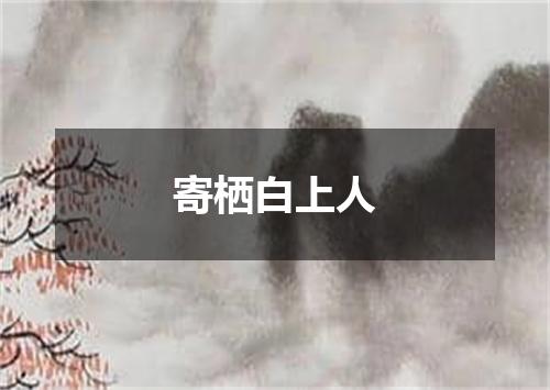 寄栖白上人