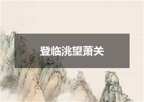 登临洮望萧关