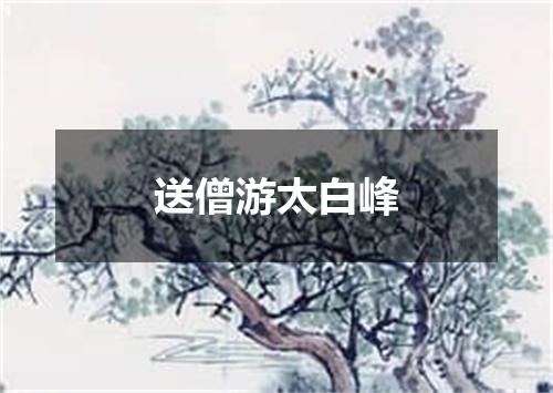 送僧游太白峰