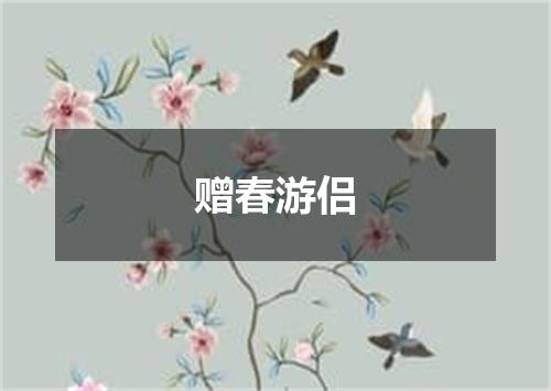 赠春游侣