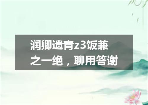 润卿遗青z3饭兼之一绝，聊用答谢
