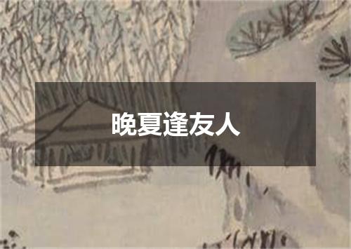 晚夏逢友人