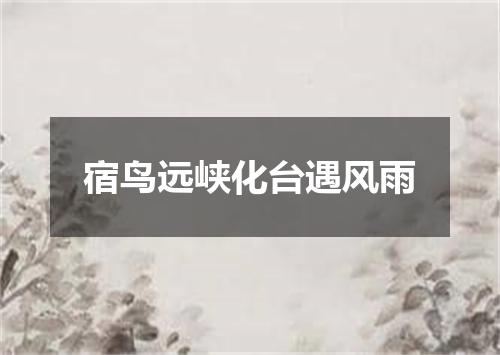 宿鸟远峡化台遇风雨