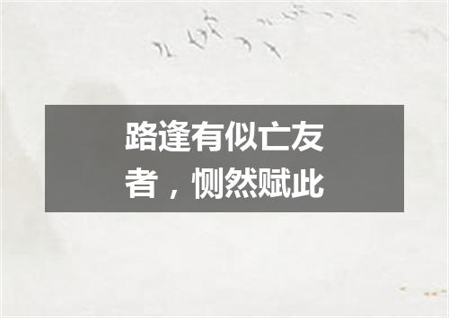路逢有似亡友者，恻然赋此