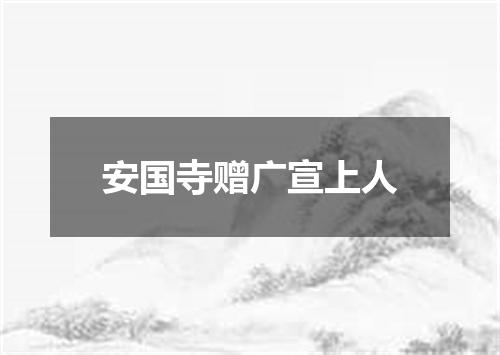 安国寺赠广宣上人