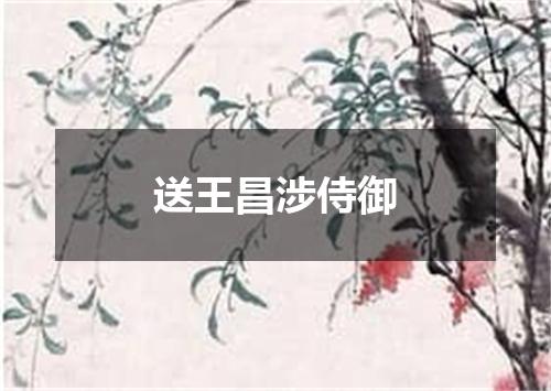 送王昌涉侍御
