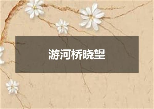 游河桥晓望